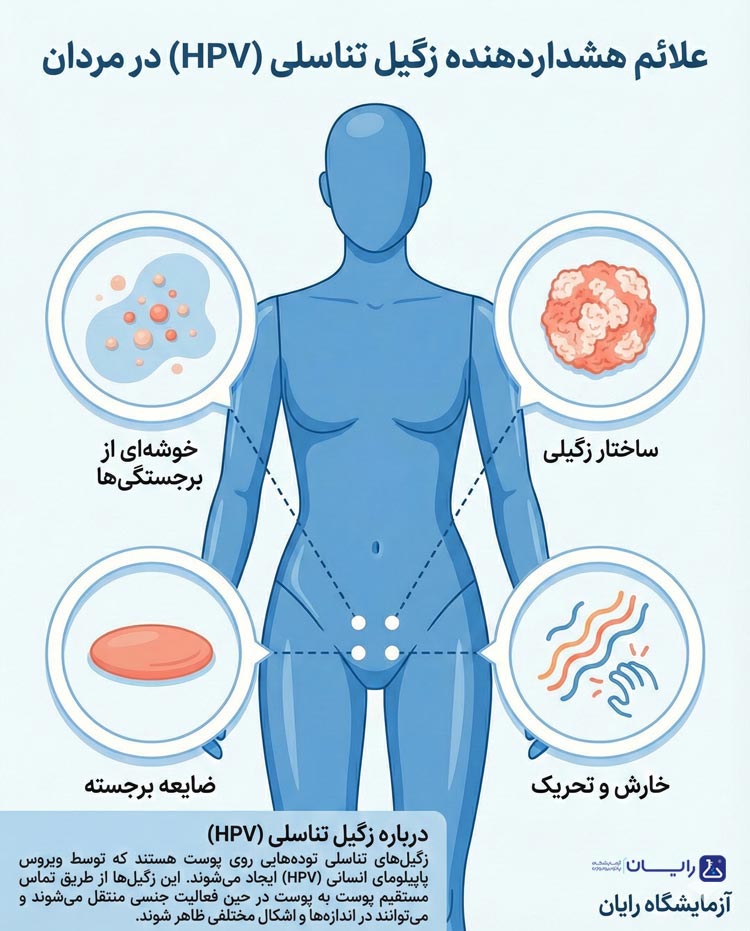 علائم هشداردهنده زگیل تناسلی در مردان چیست