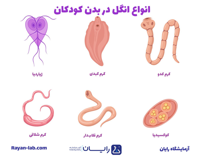 انواع انگل در بدن کودکان