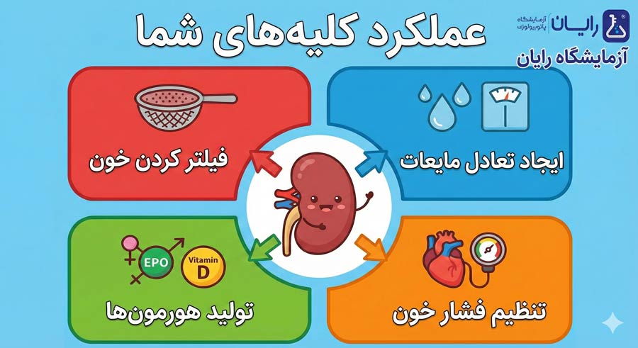 آزمایش کلیه در شیراز