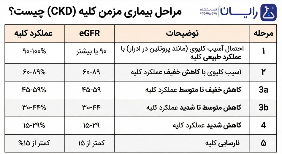 egfr چیست