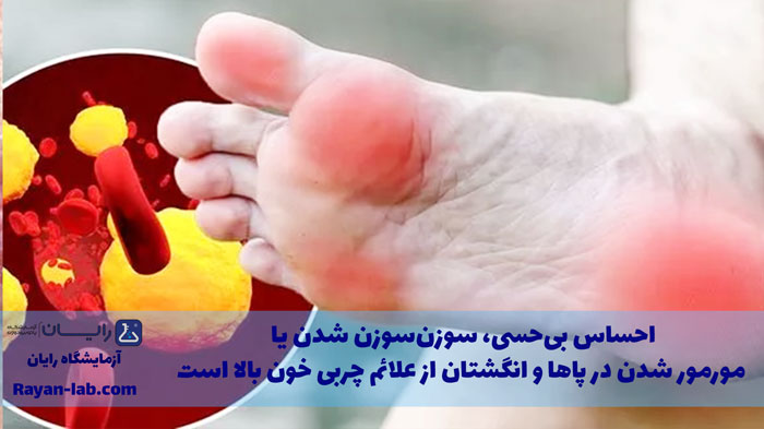 علائم چربی خون بالا چیست