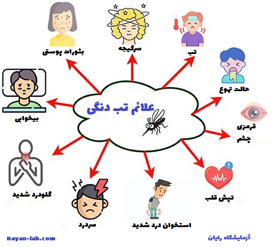 علائم تب دنگی چیست