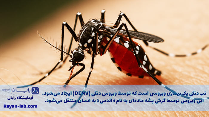علائم تب دنگی