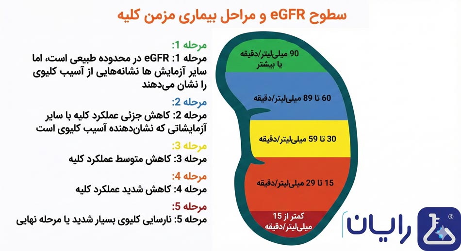 رنج نرمال egfr